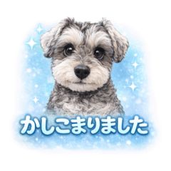 chika_20251231151057