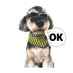 わんころきんぐ