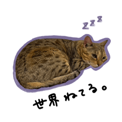 kinako_20251231163148