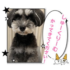 Tutuki_20251231163030