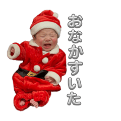 sakura_20251231173930