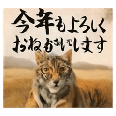 TAKANOCCHI_20251231174406