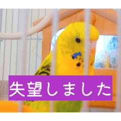 Satoshi_20251231173505