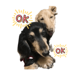 kaito_20251231194507