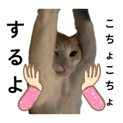 Huku and komachi collection deluxe vol.2