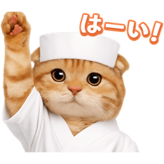 日本料亭にゃんだ川の大将と弟子