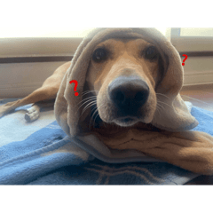 artist_20251231184326