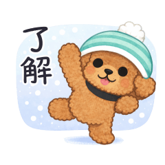 Fluffy Toy Poodle in Wintertime