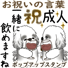 B&W飛び出すシーズー犬 26「お祝いの言葉」
