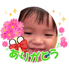 momo_20251231173615