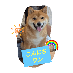 popomama_20251231180220