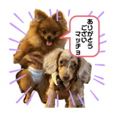 KINAKO_20251231150137