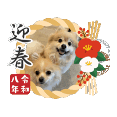 Mayumi_20251231165920