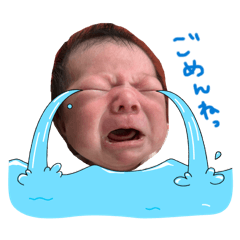 223ttm_20251231193646