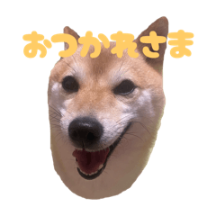 k_20260101014217