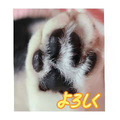 yumiko_20251231165836