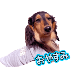 arisa_20251231170658