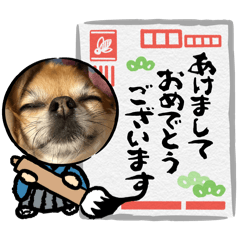 Suzu_20251231184619