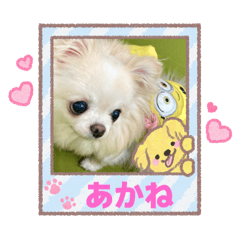Rei_20251230213410