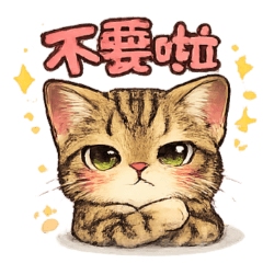 Aqua the Tabby Kitten