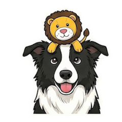 邊境牧羊犬DiDi–AIの弟寶