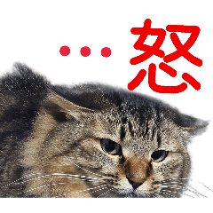 kunkun_20251231201248