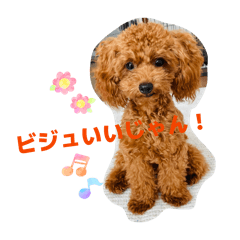 knk15850_20251231224057