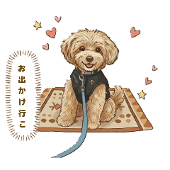 popo416_20251231224318