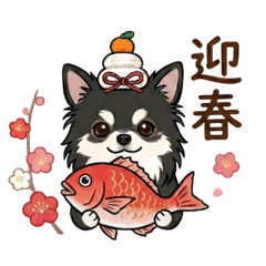 wkck0124_20251231224224