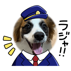 sinpson_20251231224642