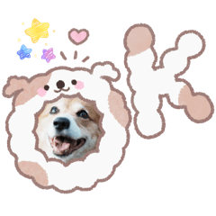 Rinsutappy_202512312020498