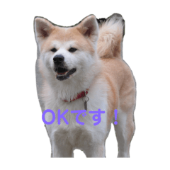 Hiroyuki Tsuchikane_20260101102357