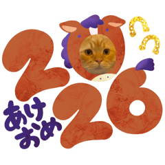 Kinapiro_20260101103028