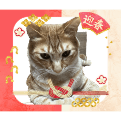 hotami_20260101103616