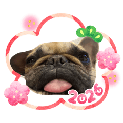 hrsnkm_20251230145831