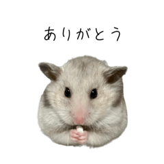 sorake_20251231181228