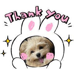 Shuri Teramura_20260101012953