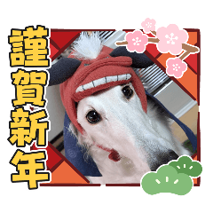 happy_20260101013142