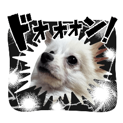 Minato_20251231190921