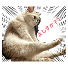momo_20251231214744