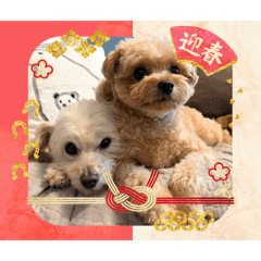 mie_20260101092056