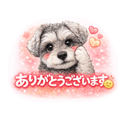chika_20251231215122
