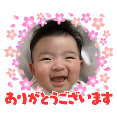 yanachi_20260101091932