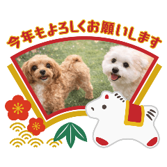 asikubiguneo_20251231220632