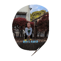 k_20251231221240