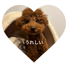 peipei_20251231221327