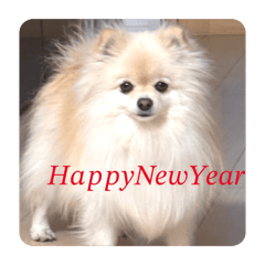 Happy_20251231221816