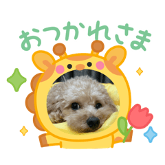 binchan_20251231200607