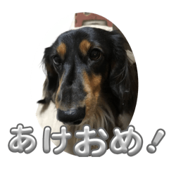 kuuta_20251231204217