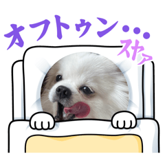 rikapuriko_20251231204335